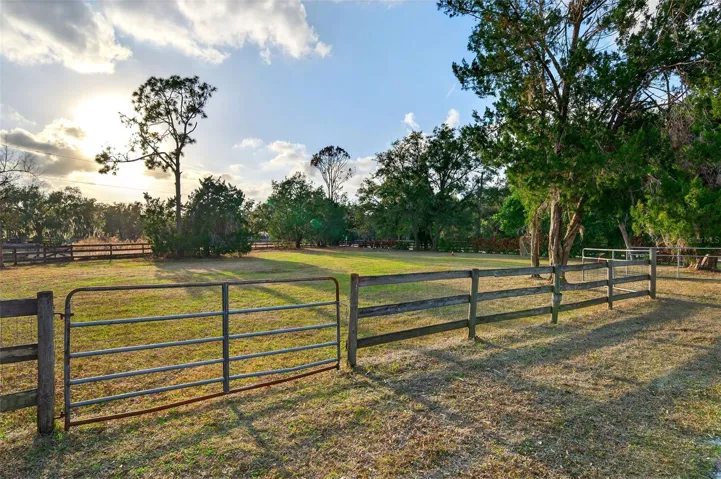Pasture 2