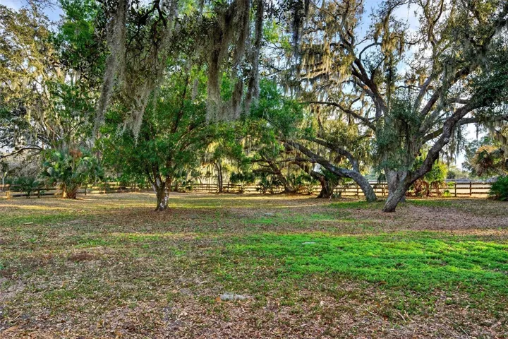 Pasture 3