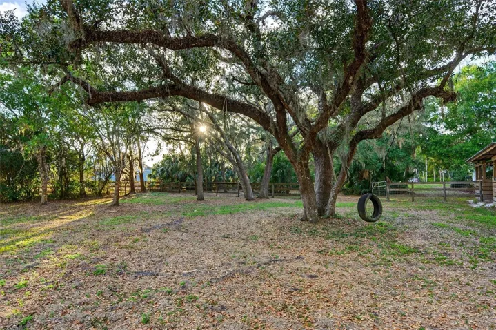 Pasture 3