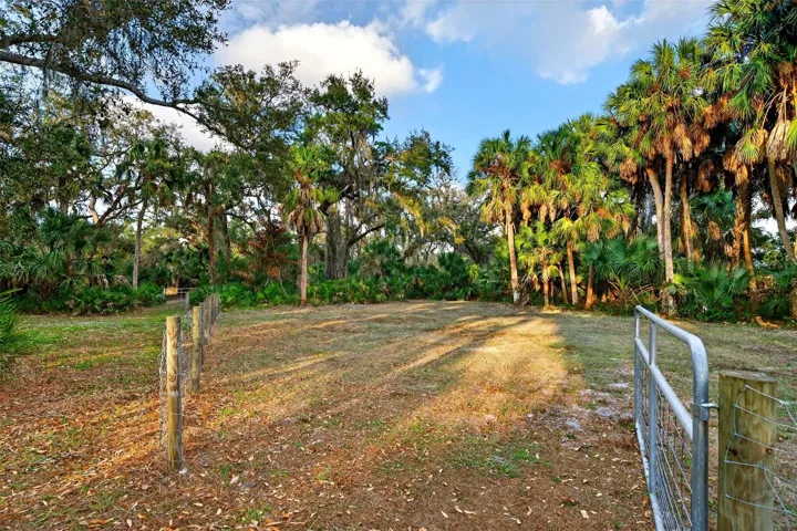 Pasture 1