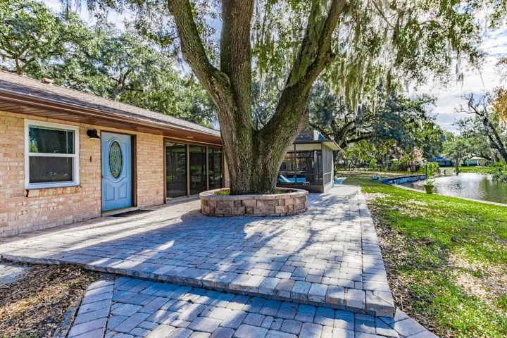 Backyard patio