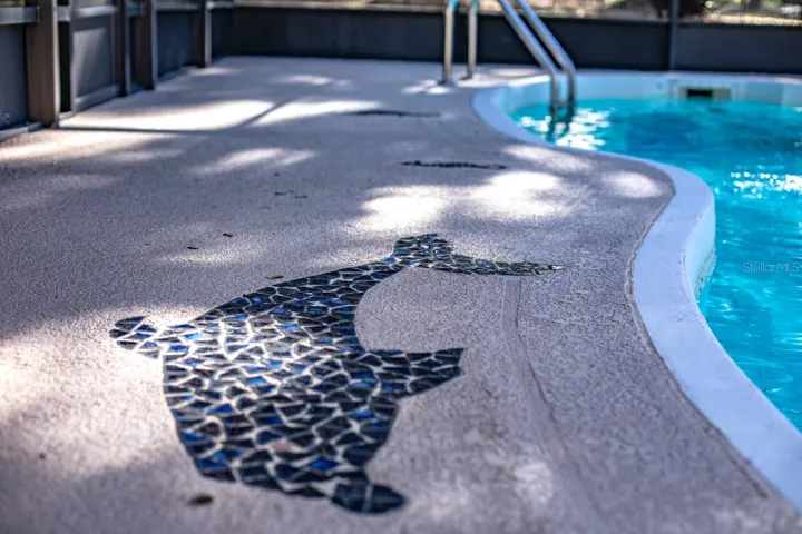 Pool detial