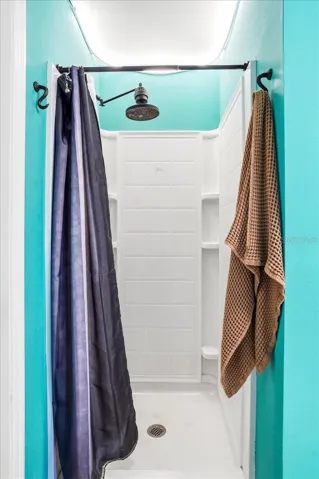 Primary walk-in shower