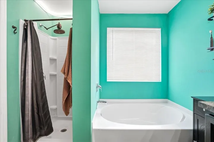 Primary bathroom