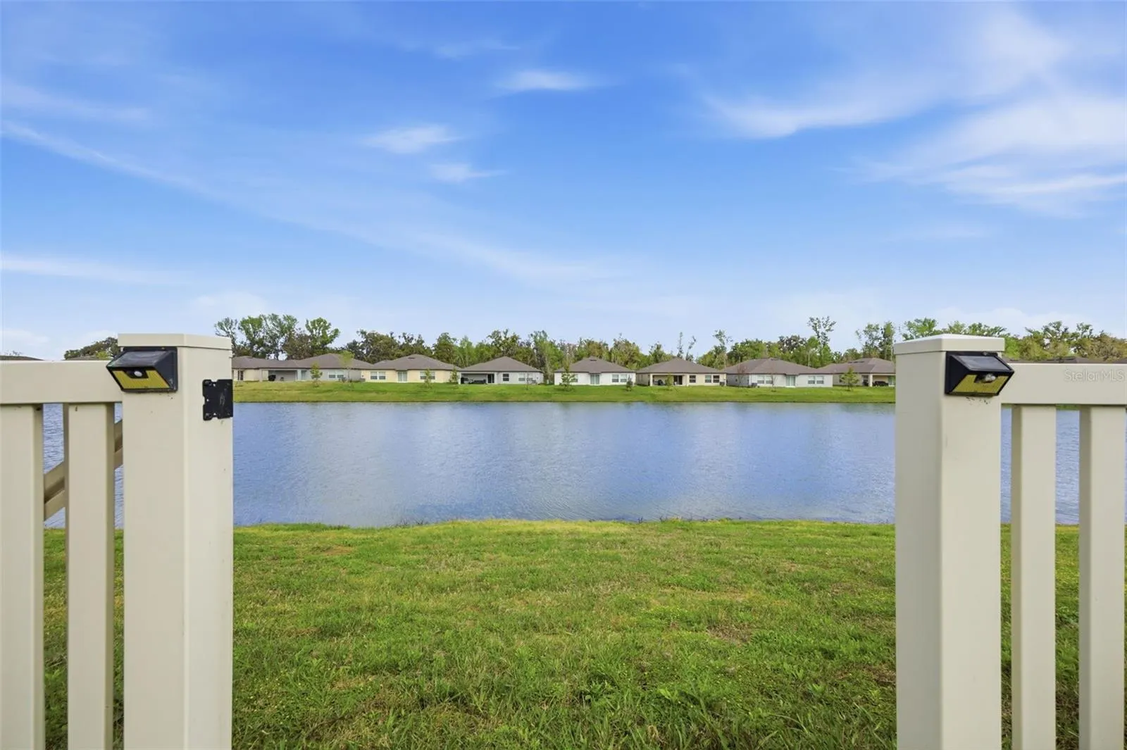 View of the pond