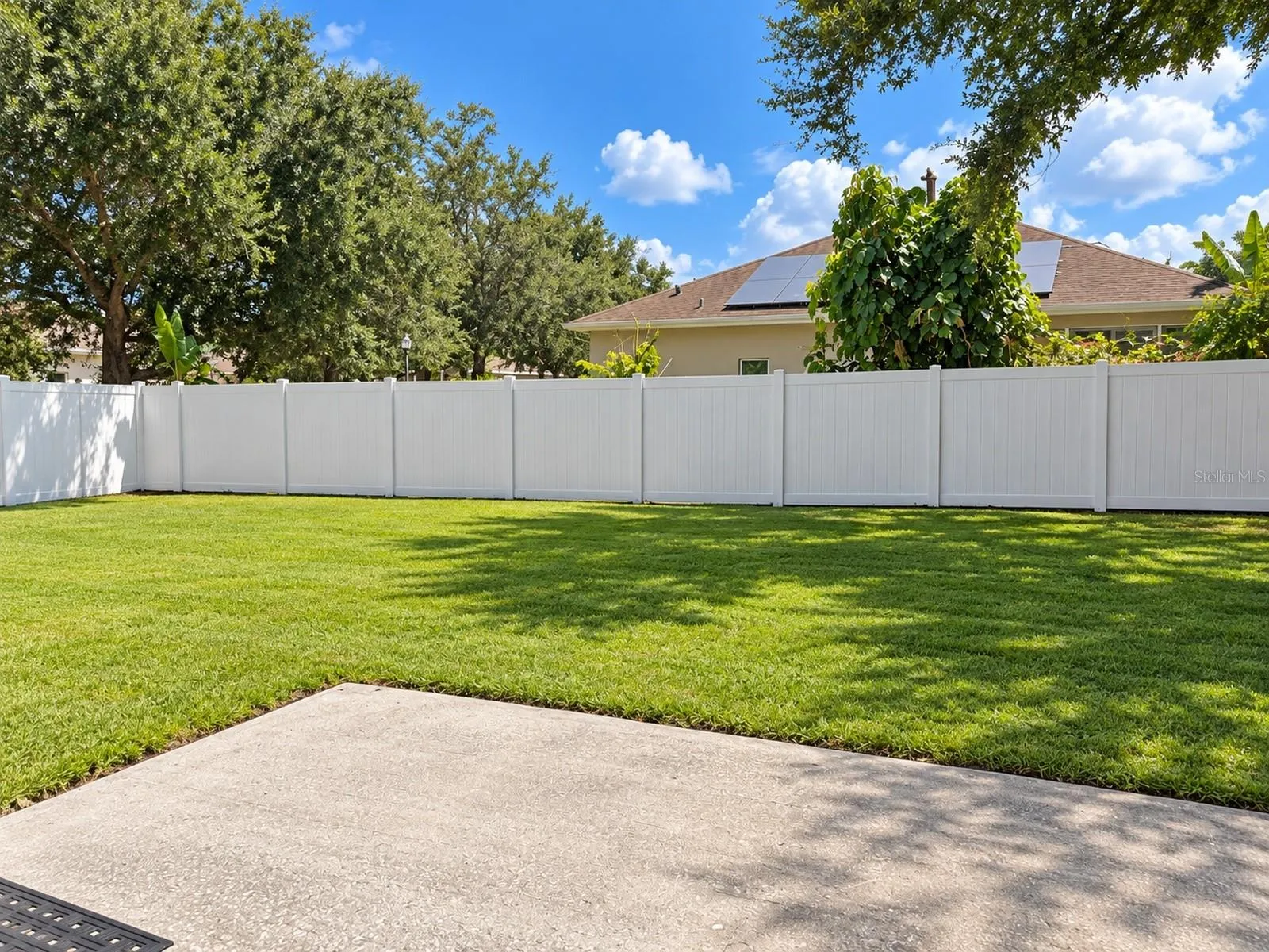 Backyard left side