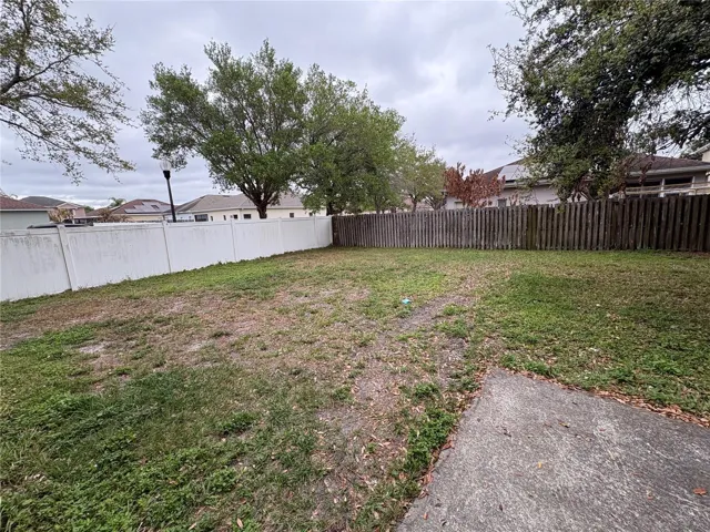 Backyard