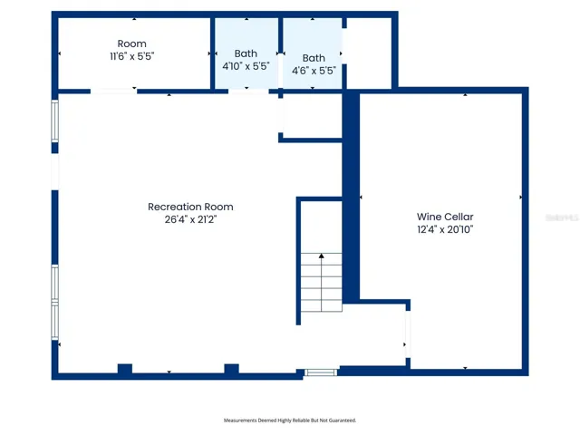 Basement Entertainment Are / Wine Cellar