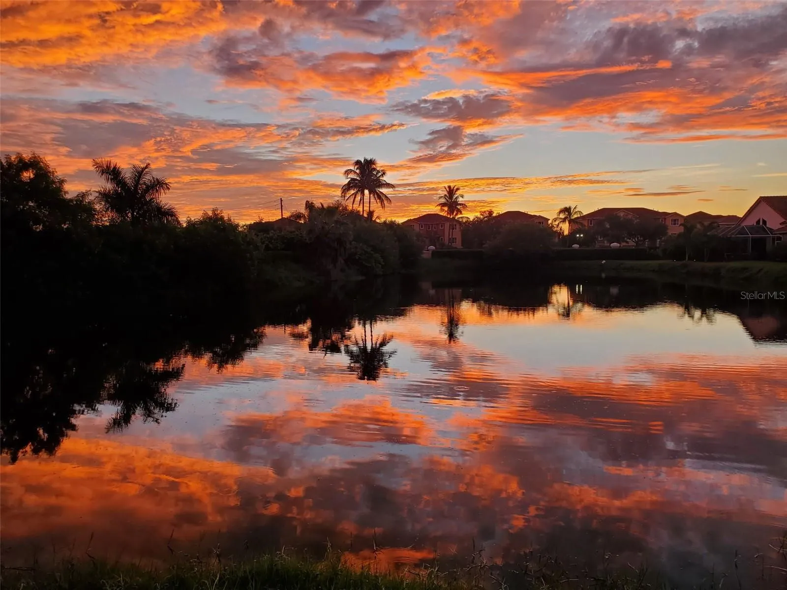 amazing sunrises