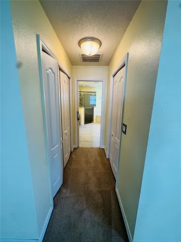 HALLWAY IN MASTER ROOM