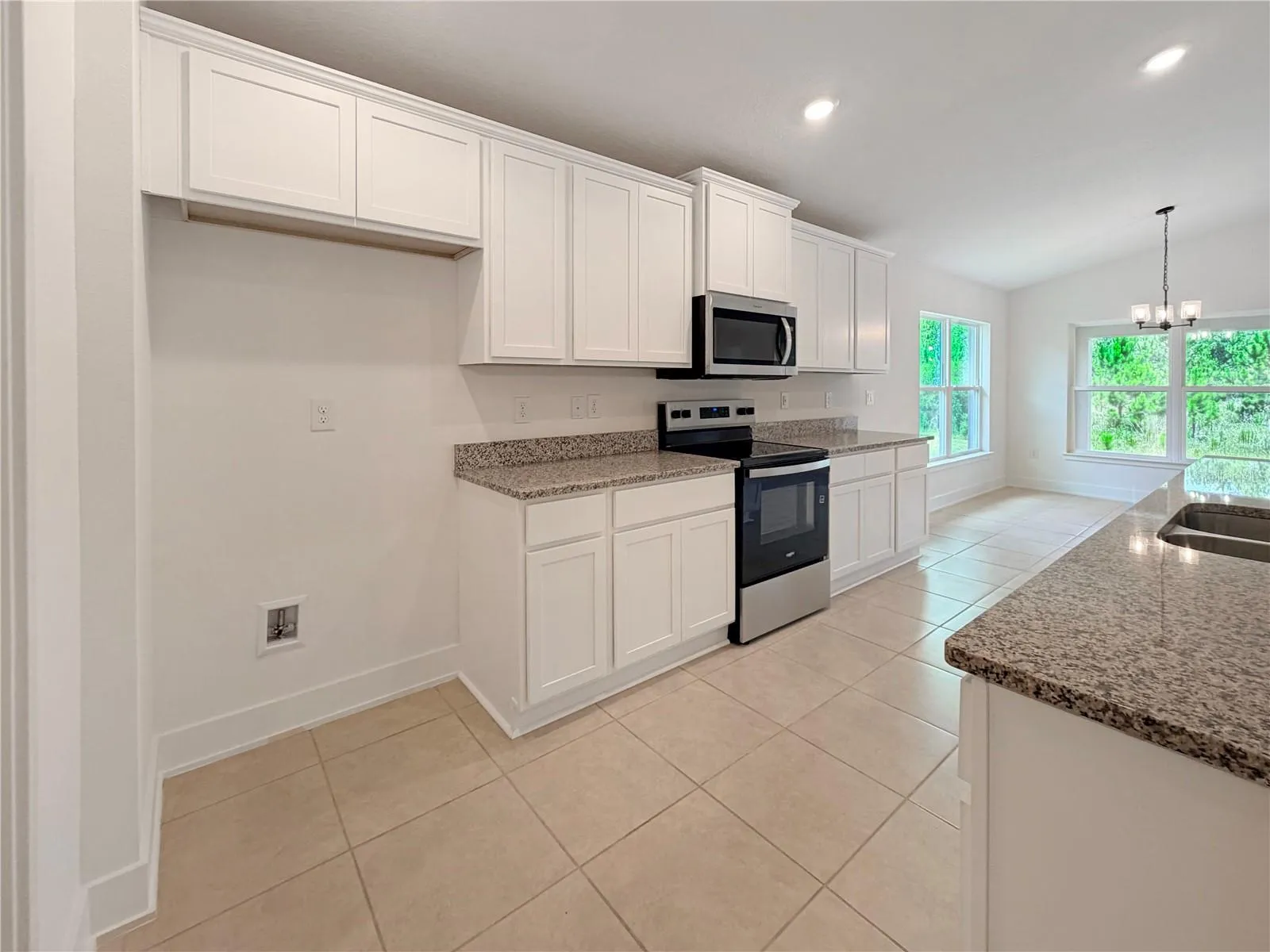 Stainless Steal appliances