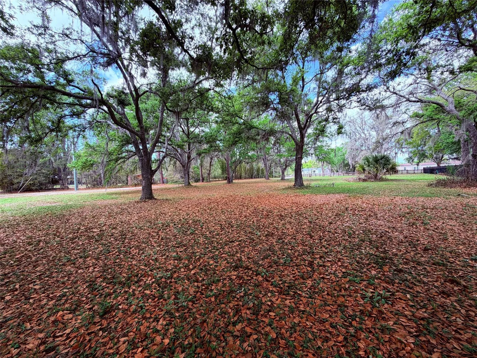 7001 W Dormany Rd, Plant City, Florida 33565 — photo 16