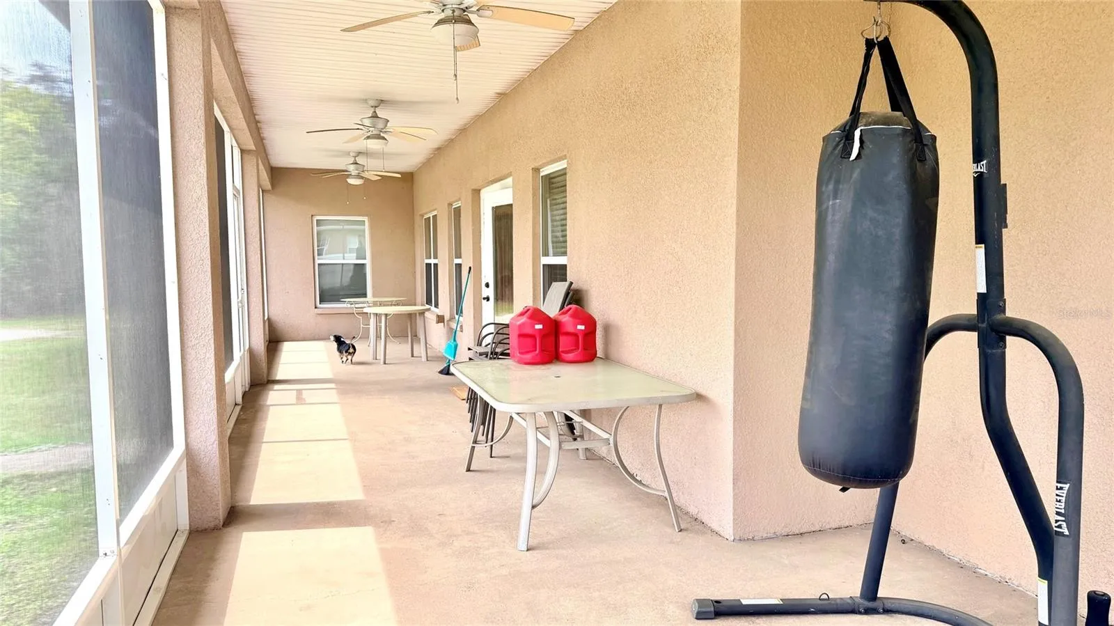7001 W Dormany Rd, Plant City, Florida 33565 — photo 10