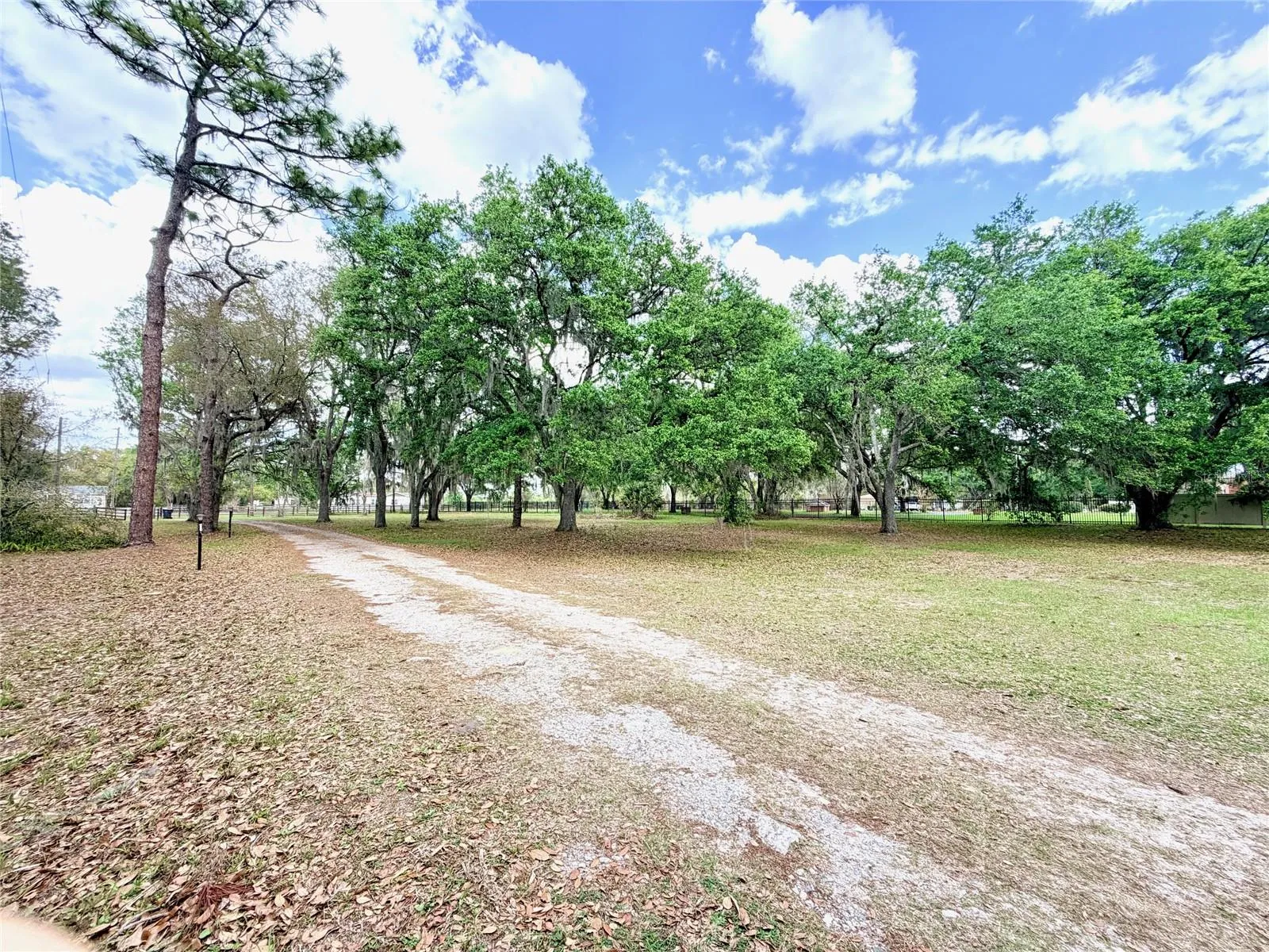 7001 W Dormany Rd, Plant City, Florida 33565 — photo 2