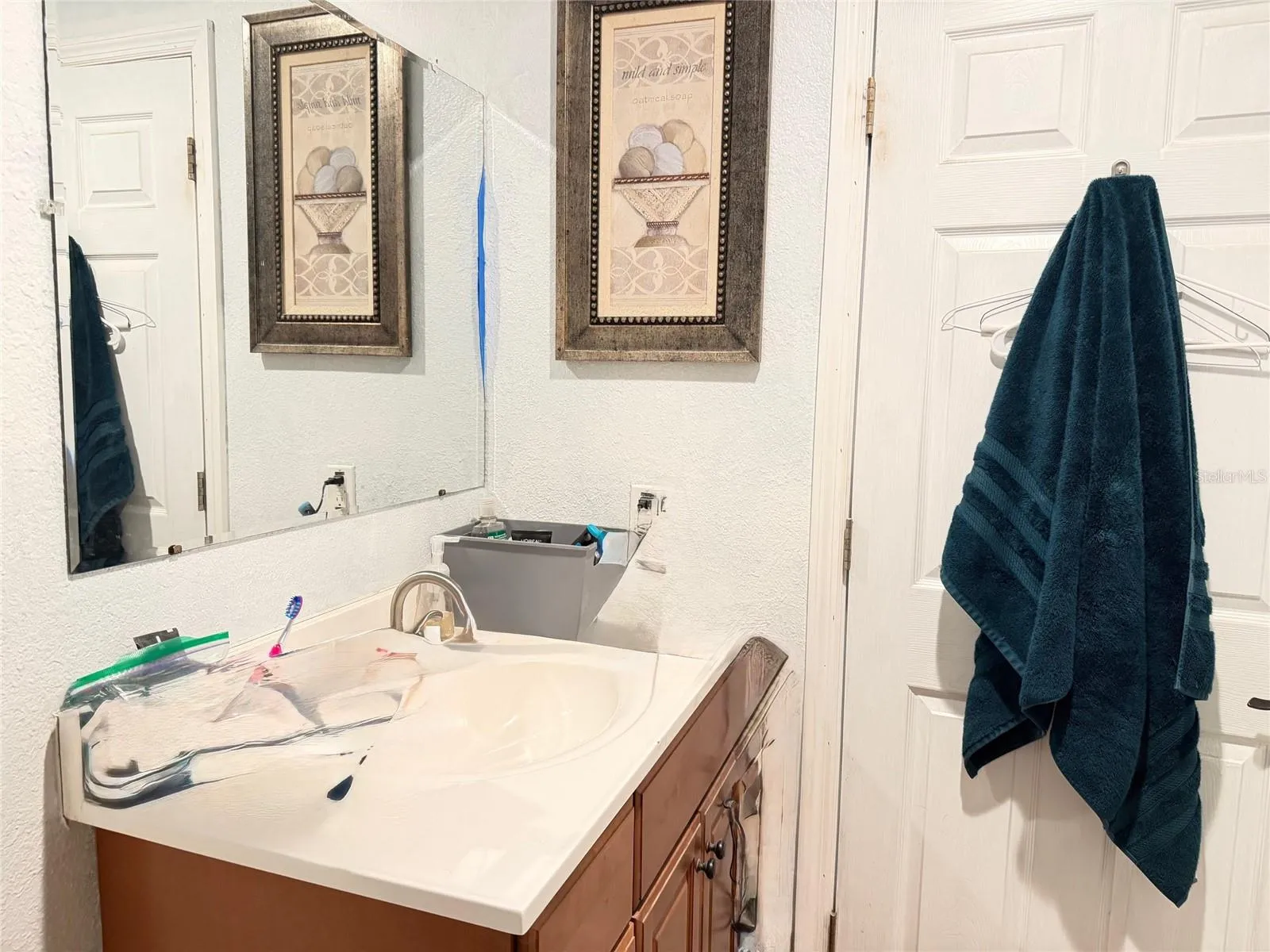 7001 W Dormany Rd, Plant City, Florida 33565 — photo 43