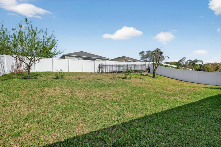 Fenced Back Yard