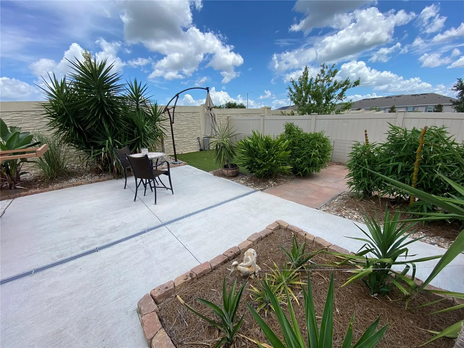 Backyard Oasis Detailed Views