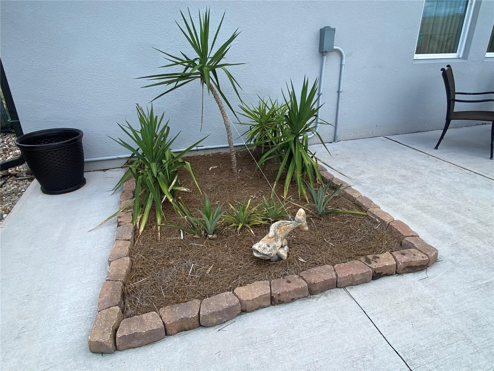 Backyard Oasis Detailed Views