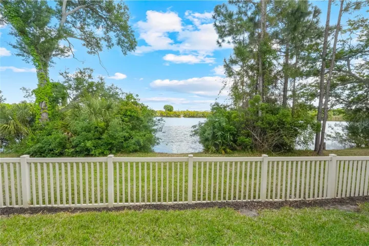 Pond View