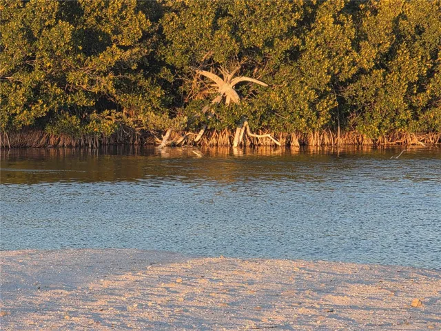 1170