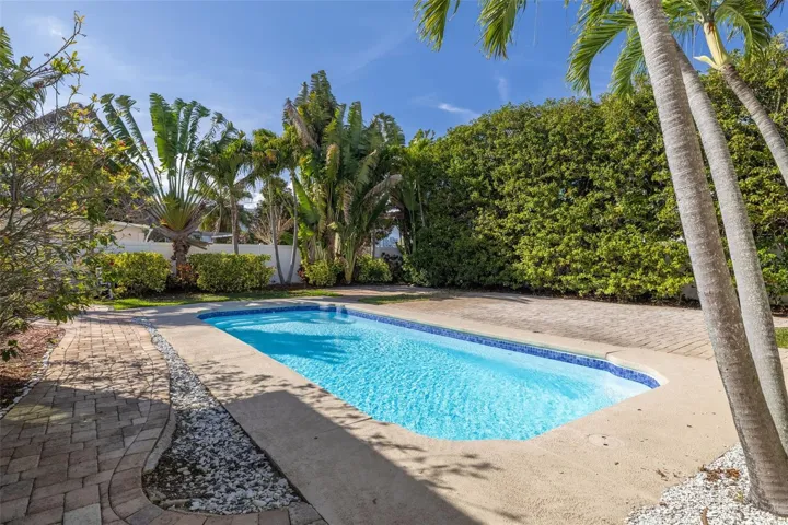 Backyard Oasis!
