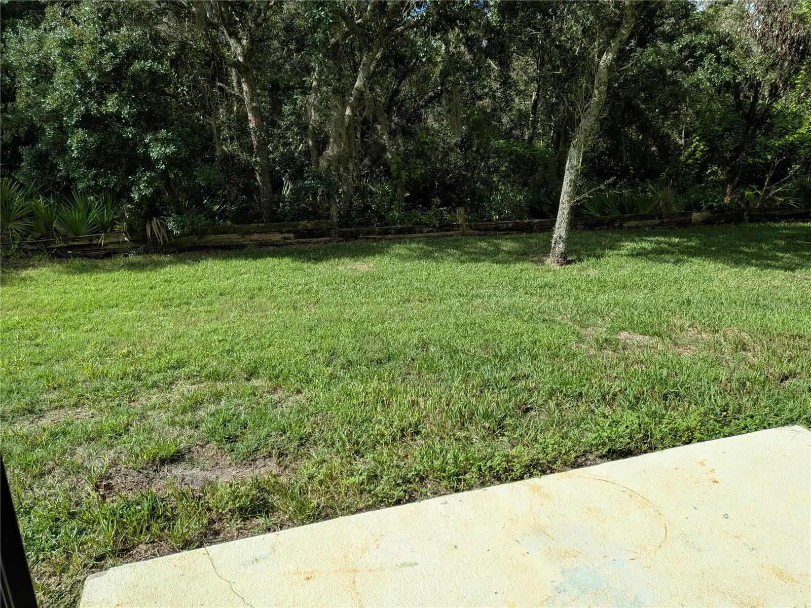 Patio and Back Yard