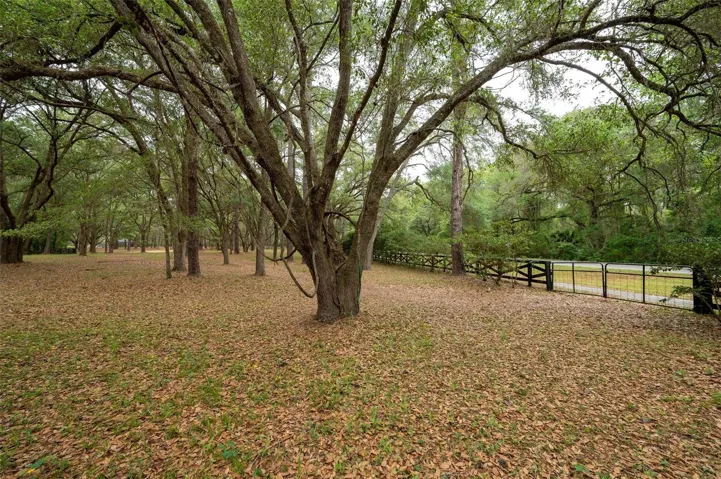 Fenced and private rear gate perfect for events