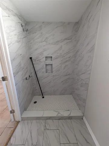Master bathroom pic 2