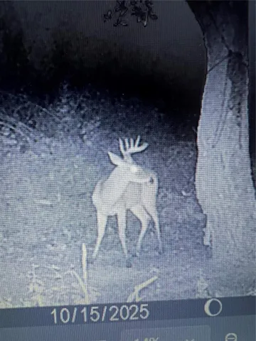 1170