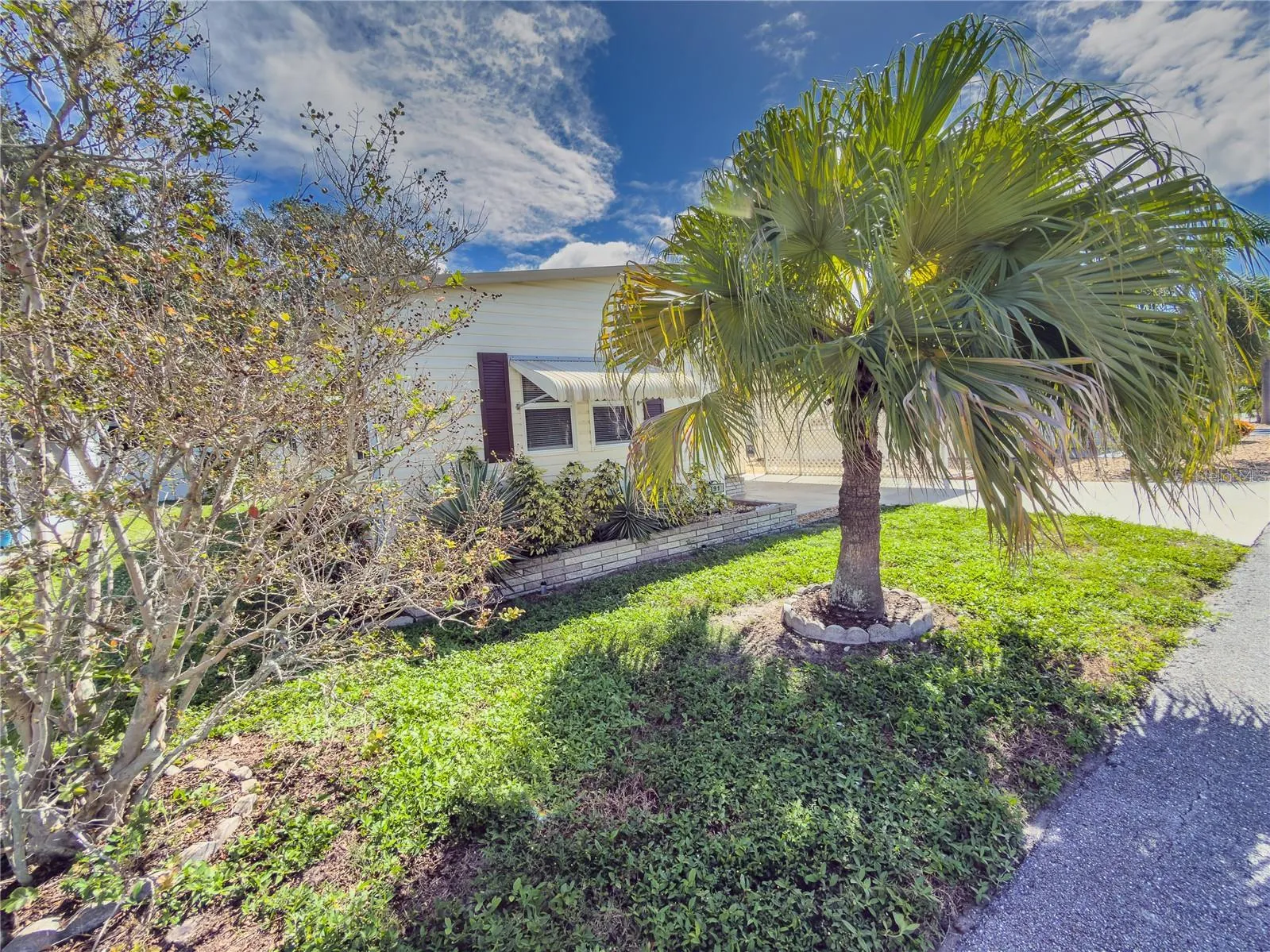 Front Yard
