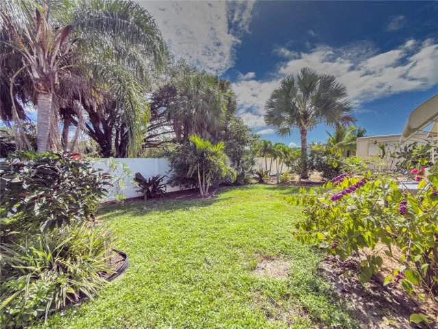 Back Yard