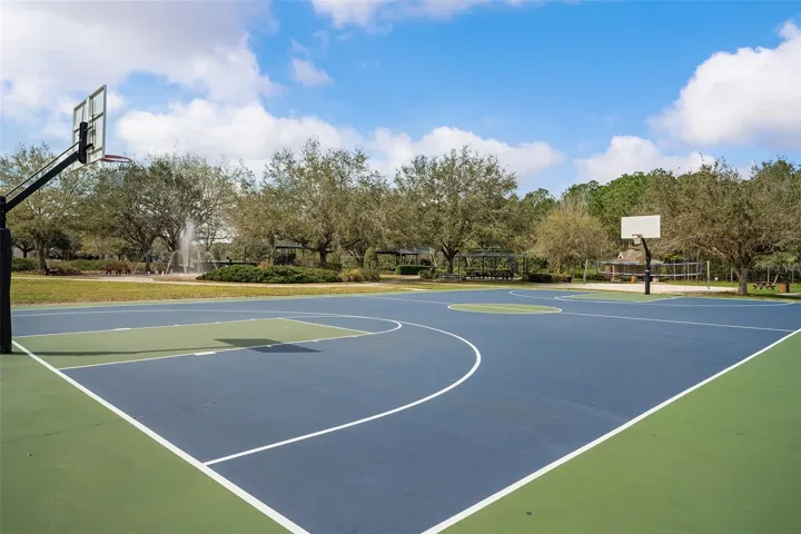 Basketball Court