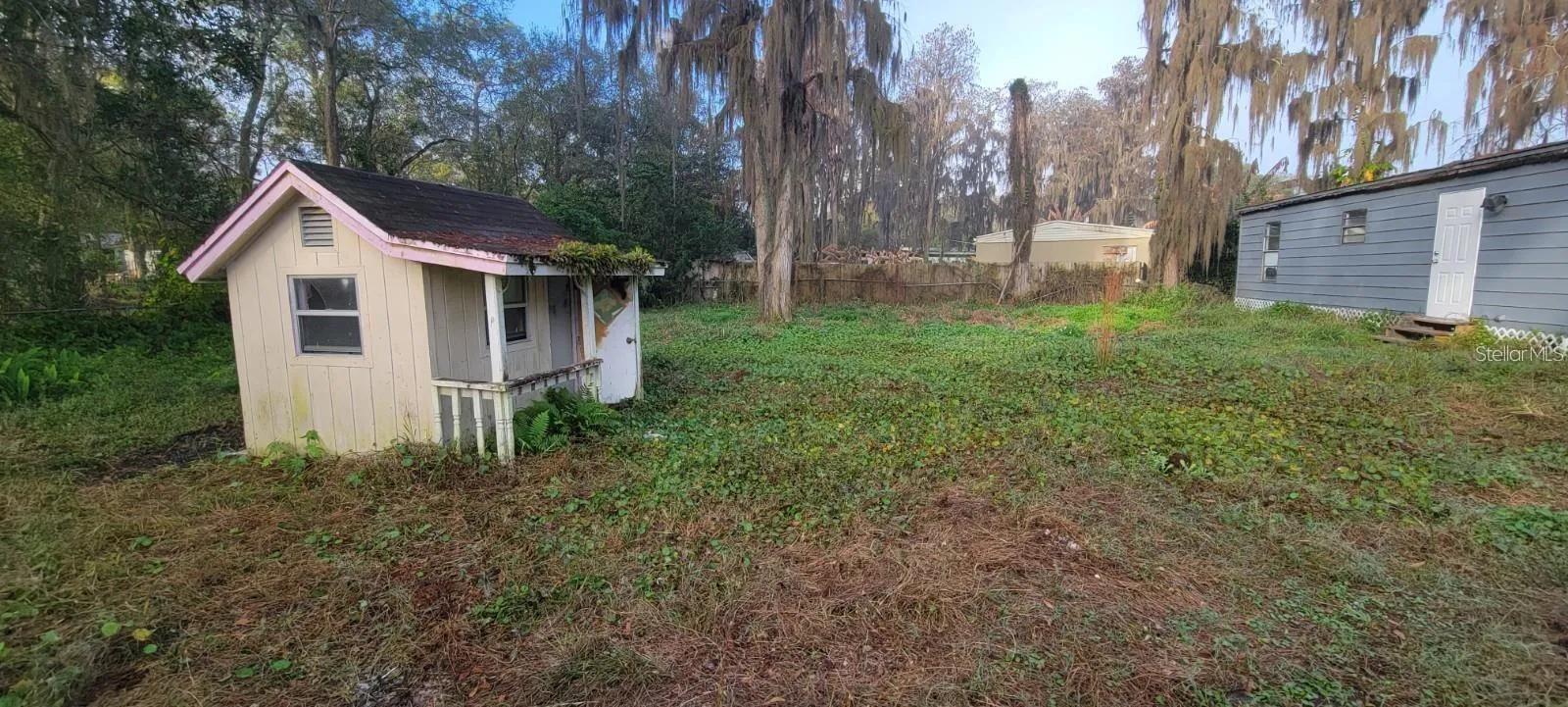 Back Yard