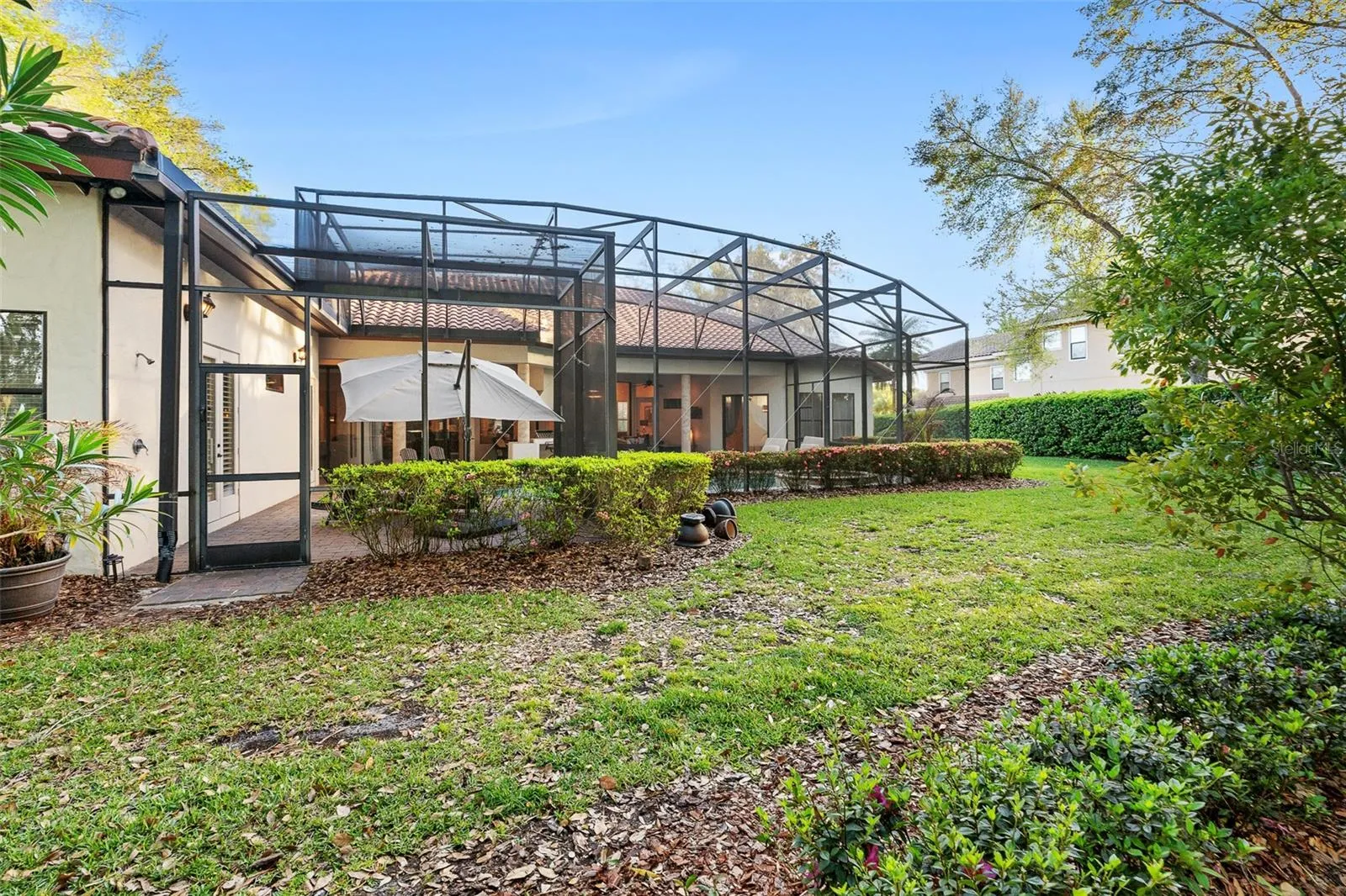 Massive Backyard