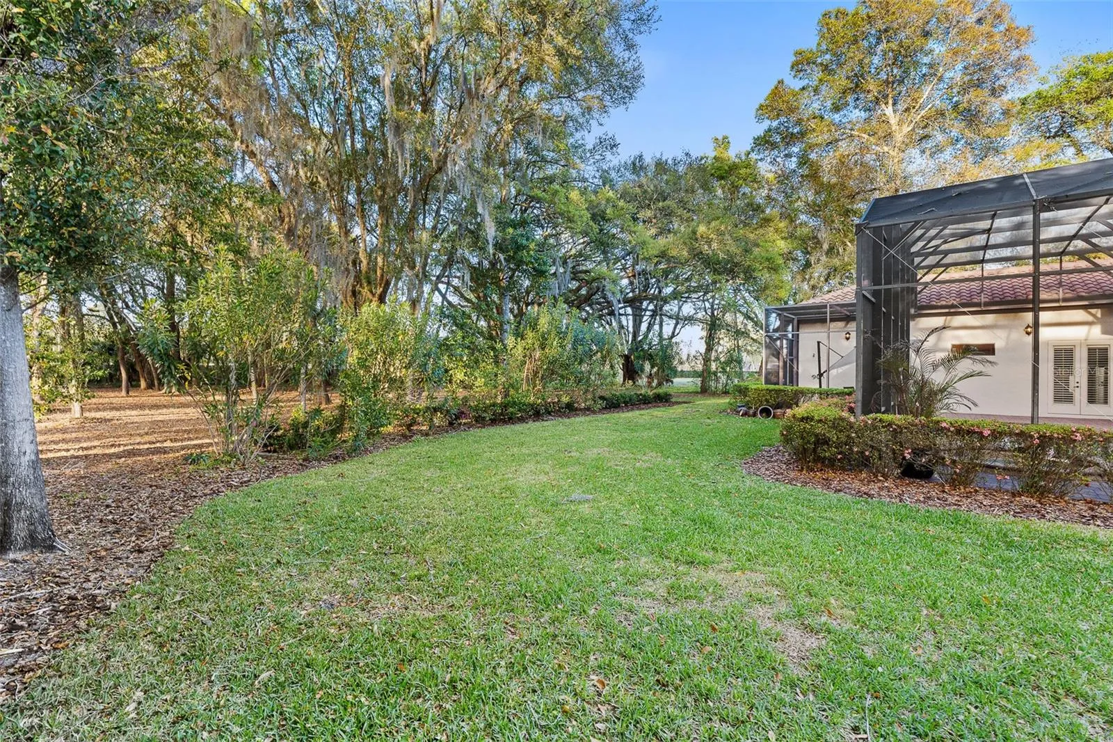 Massive Backyard