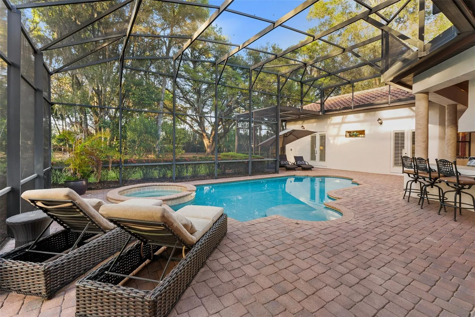 Pool/Lanai