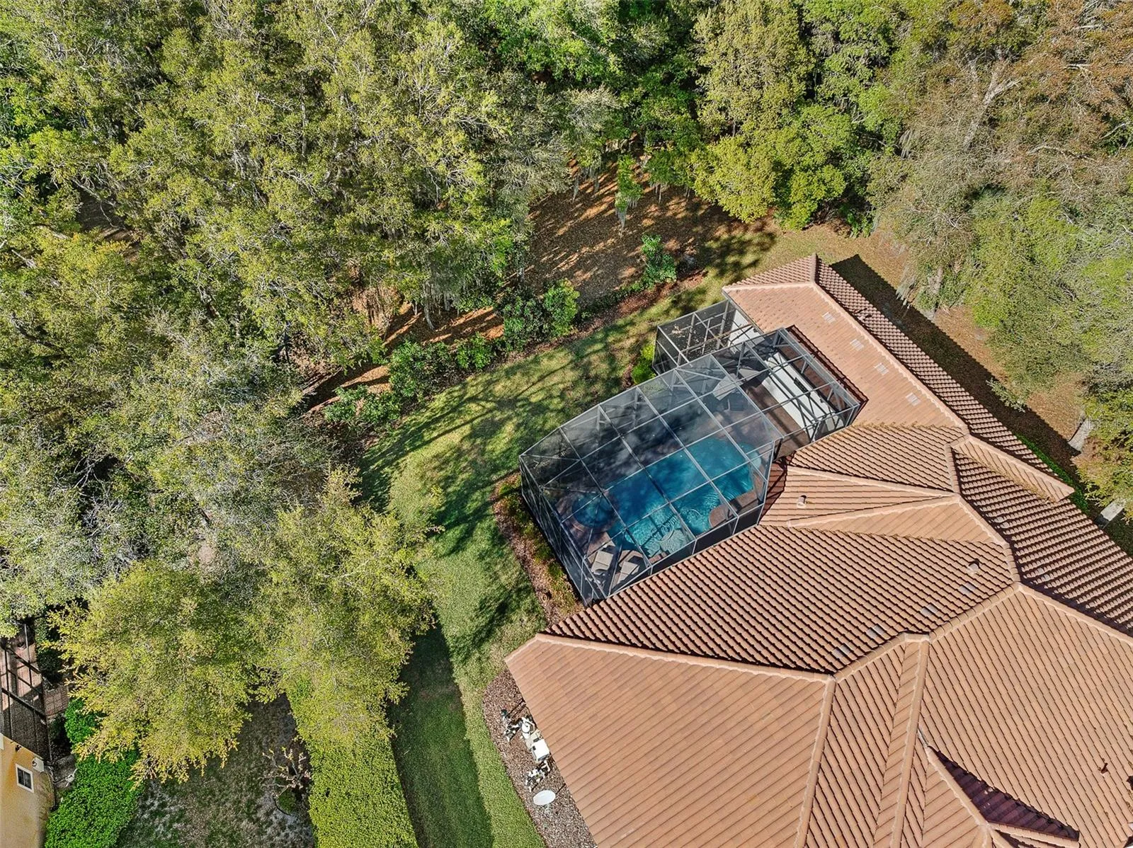 Drone Overhead