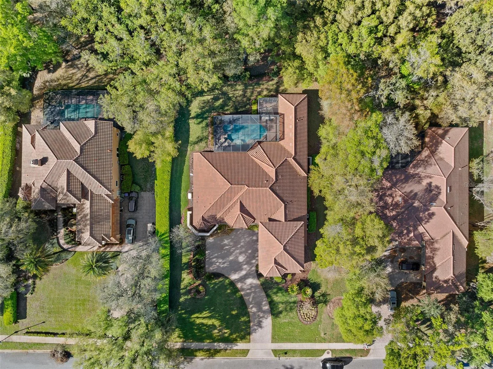 Drone Overhead