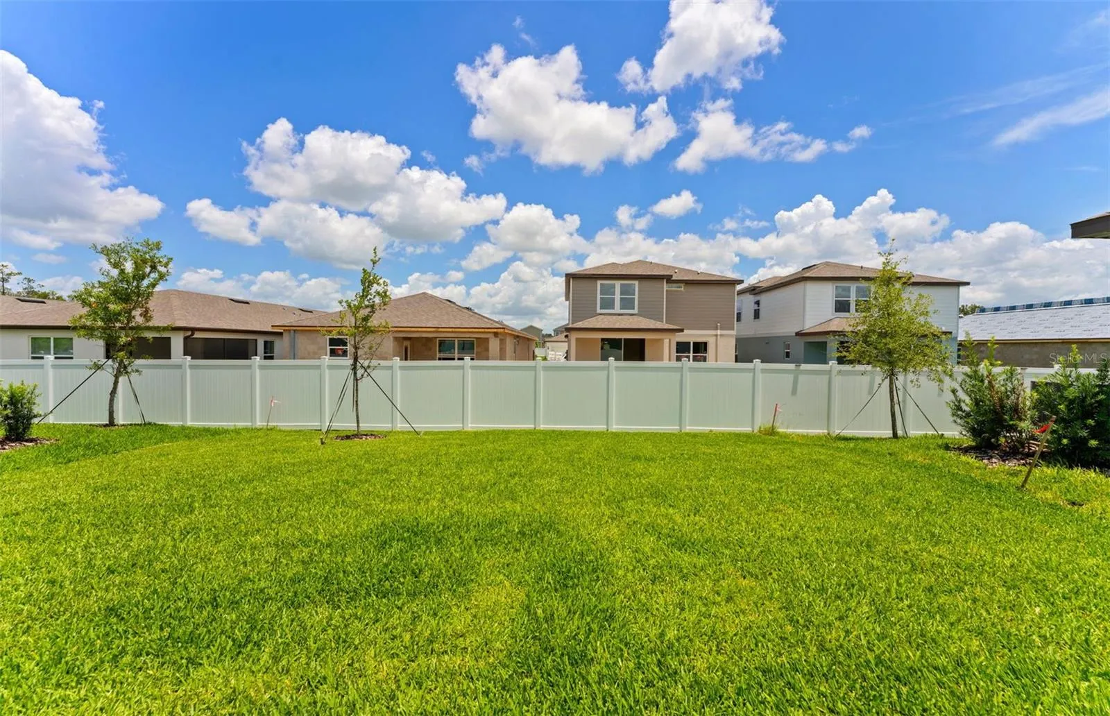 Spacious Backyard