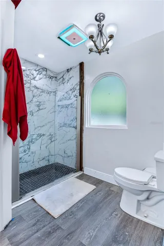 Owner's Bath shower
