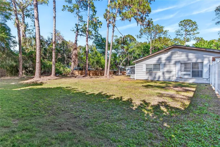 Oversized fenced yard