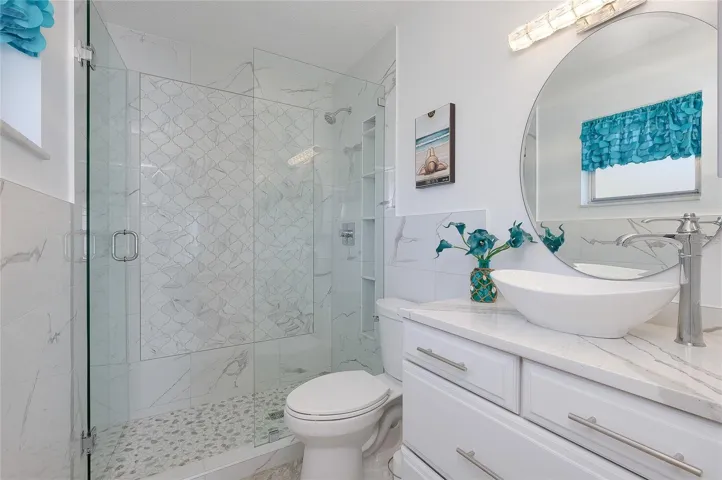 Upgraded Bowl Sink and New Toilet
