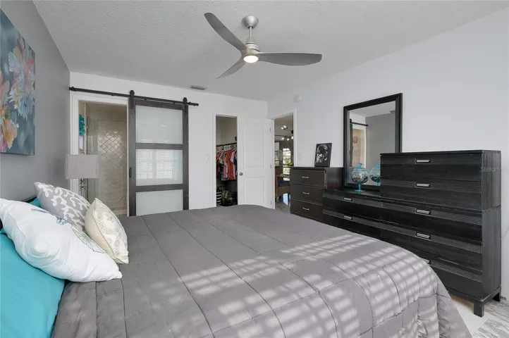 Hi-End Frosted Barn Door