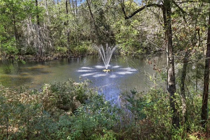 POND & FOUNTAIN VIEW