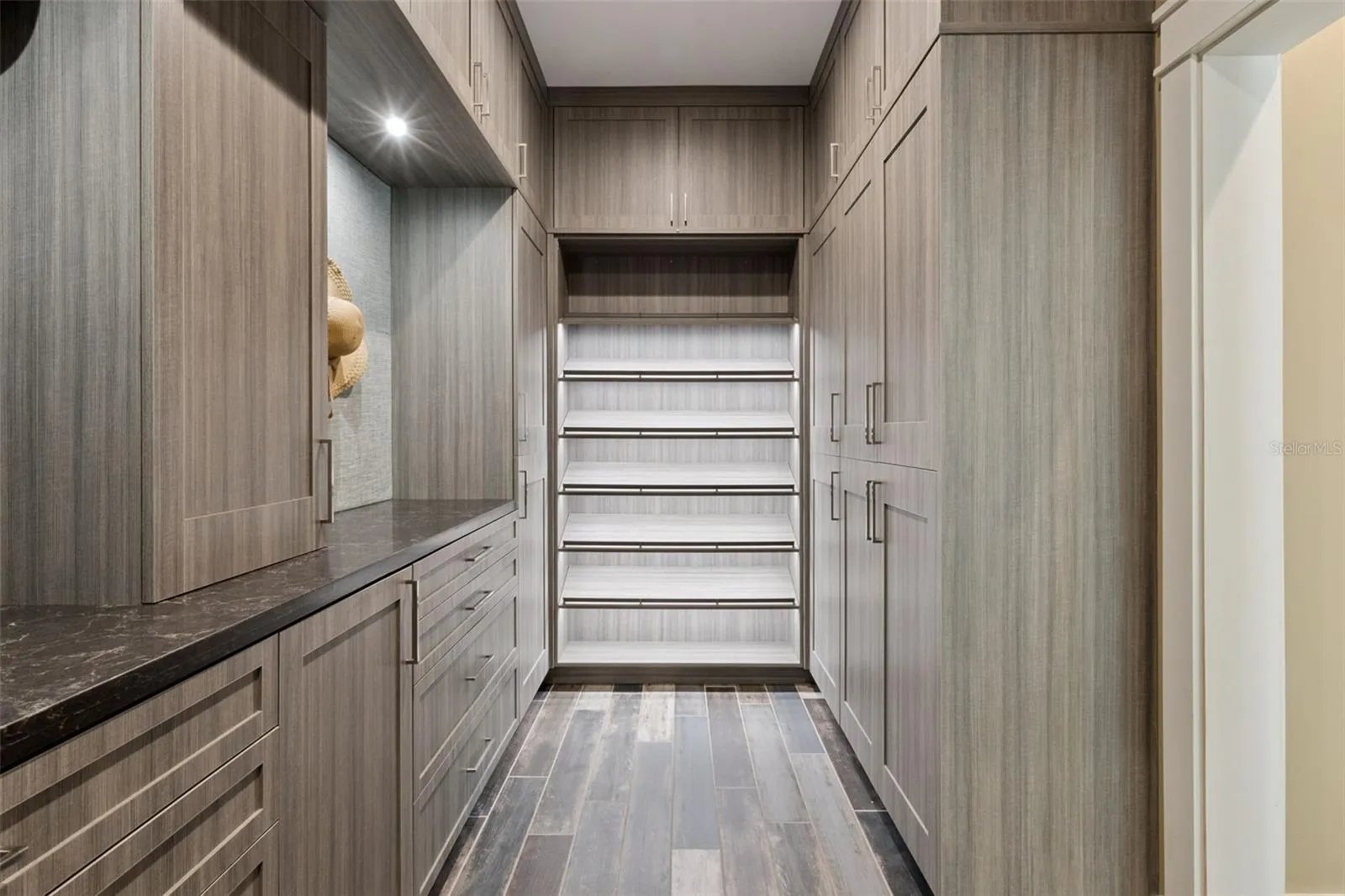 Master Bedroom custom closet