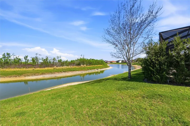 BACKYARD POND
