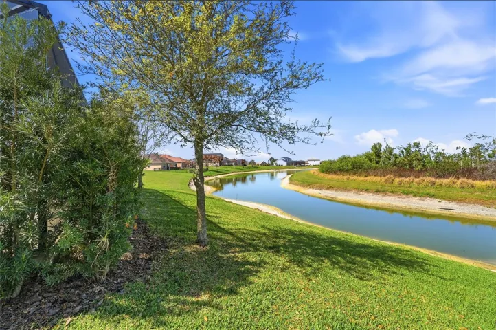 PRIVATE BACKYARD