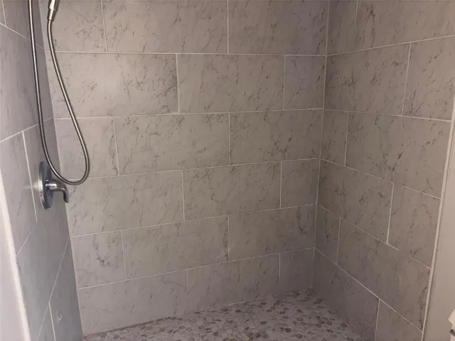 Primary Shower
