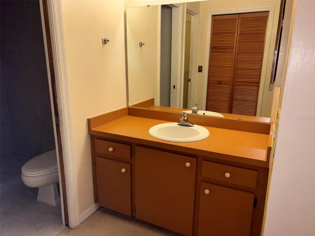 Primary Ensuite Dressing Area