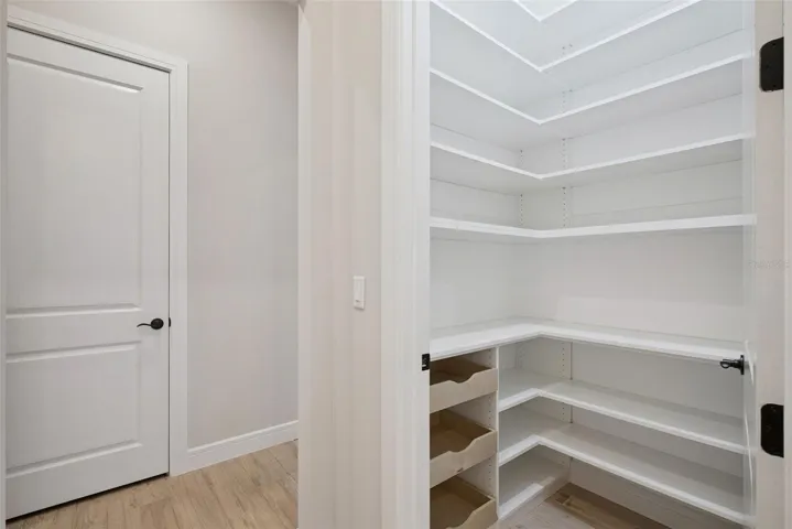 Amazing custom pantry